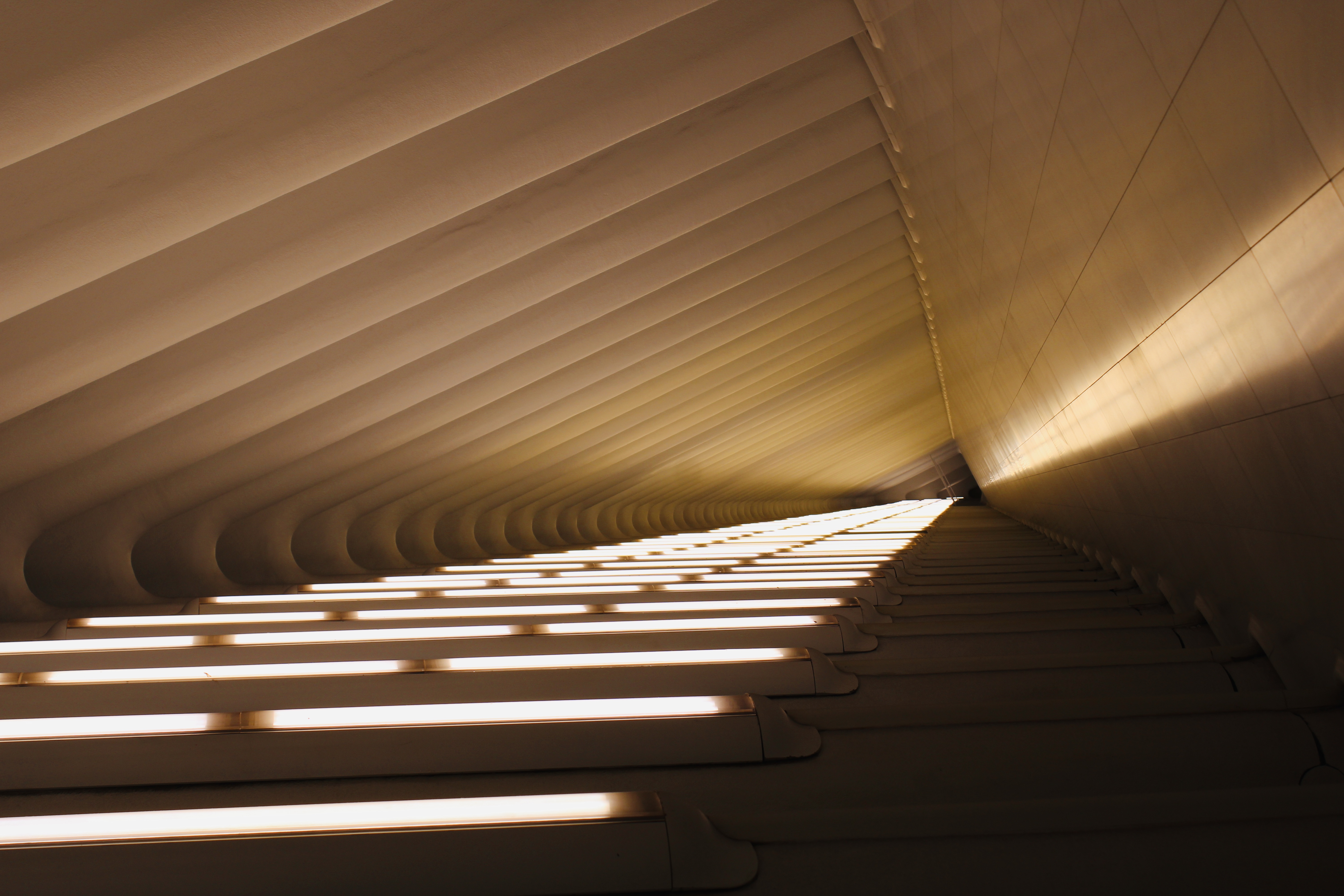 20221007185943_IMG_0816